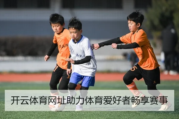 开云体育网址助力体育爱好者畅享赛事