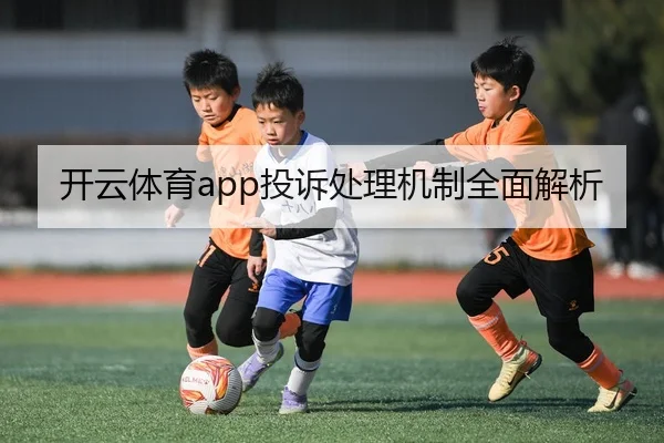 开云体育app投诉处理机制全面解析