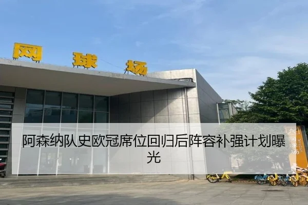 阿森纳队史欧冠席位回归后阵容补强计划曝光